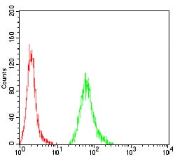 Figure 5:Flow cytometric analysis of A431 cells using KBTBD8 mouse mAb (green) and negative control (red).