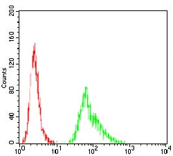 Figure 4:Flow cytometric analysis of Hela cells using SELL mouse mAb (green) and negative control (red).