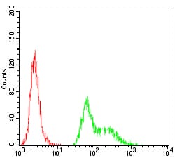 Figure 5:Flow cytometric analysis of Hela cells using TFAP2A mouse mAb (green) and negative control (red).