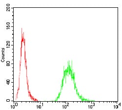 Figure 6:Flow cytometric analysis of A431 cells using EZR mouse mAb (green) and negative control (red).