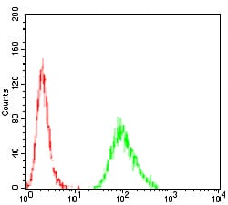 Figure 4:Flow cytometric analysis of *** cells using *** mouse mAb (green) and negative control (red).