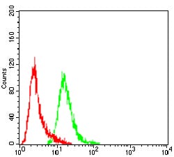 Figure 4:Flow cytometric analysis of Hela cells using CSF1R mouse mAb (green) and negative control (red).