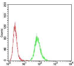 Figure 3:Flow cytometric analysis of Hela cells using ATG5 mouse mAb (green) and negative control (red).