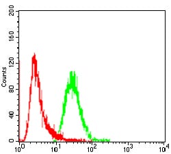 Figure 4:Flow cytometric analysis of A549 cells using FGFR3 mouse mAb (green) and negative control (red).