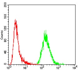 Figure 5:Flow cytometric analysis of MCF-7 cells using GNAS mouse mAb (green) and negative control (red).