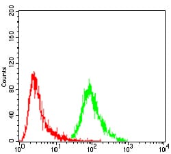 Figure 5:Flow cytometric analysis of A549 cells using ERCC1 mouse mAb (green) and negative control (red).