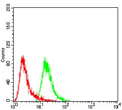 Figure 4:Flow cytometric analysis of A549 cells using HSPB2 mouse mAb (green) and negative control (red).