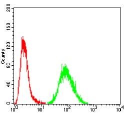 Figure 6:Flow cytometric analysis of A549 cells using TTR mouse mAb (green) and negative control (red).