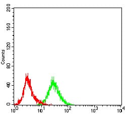 Figure 6:Flow cytometric analysis of HepG2 cells using IRAK3 mouse mAb (green) and negative control (red).