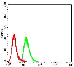 Figure 6:Flow cytometric analysis of A549 cells using WTAP mouse mAb (green) and negative control (red).