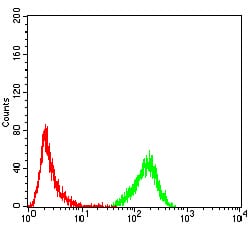 Figure 6:Flow cytometric analysis of K562 cells using EMD mouse mAb (green) and negative control (red).