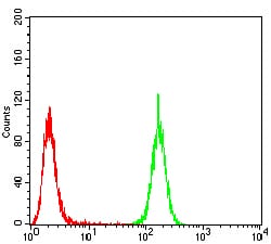 Figure 5:Flow cytometric analysis of A549 cells using EMD mouse mAb (green) and negative control (red).