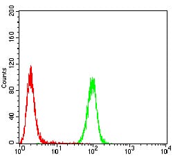 Figure 7:Flow cytometric analysis of A549 cells using EMD mouse mAb (green) and negative control (red).