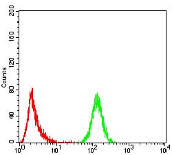 Figure 6:Flow cytometric analysis of K562 cells using EMD mouse mAb (green) and negative control (red).