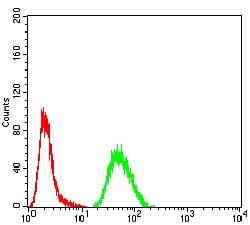 Figure 6:Flow cytometric analysis of A549 cells using CSF3 mouse mAb (green) and negative control (red).