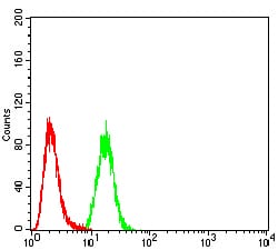 Figure 4:Flow cytometric analysis of A549 cells using CALB2 mouse mAb (green) and negative control (red).