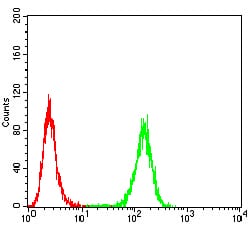 Figure 6:Flow cytometric analysis of Hela cells using AIM2 mouse mAb (green) and negative control (red).