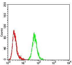 Figure 7:Flow cytometric analysis of MCF-7 cells using ANXA5 mouse mAb (green) and negative control (red).