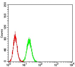Figure 6:Flow cytometric analysis of Hela cells using ANXA5 mouse mAb (green) and negative control (red).