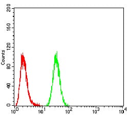 Figure 6:Flow cytometric analysis of A549 cells using NFKBIA mouse mAb (green) and negative control (red).