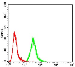 Figure 6:Flow cytometric analysis of MCF-7 cells using EZR mouse mAb (green) and negative control (red).