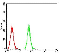 Figure 4:Flow cytometric analysis of Hela cells using P2RY13 mouse mAb (green) and negative control (red).
