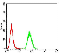 Figure 4:Flow cytometric analysis of Hela cells using CD168 mouse mAb (green) and negative control (red).