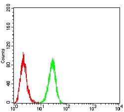 Figure 5:Flow cytometric analysis of Hela cells using ERBB4 mouse mAb (green) and negative control (red).