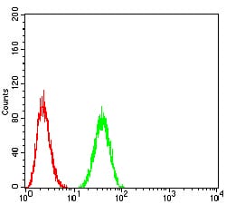 Figure 5:Flow cytometric analysis of A549 cells using BMP2 mouse mAb (green) and negative control (red).