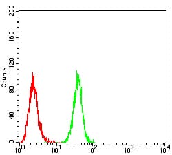 Figure 6:Flow cytometric analysis of Hela cells using BMP2 mouse mAb (green) and negative control (red).