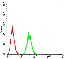 Figure 4:Flow cytometric analysis of A549 cells using THAP1 mouse mAb (green) and negative control (red).