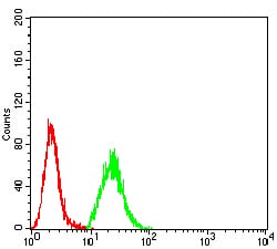 Figure 4:Flow cytometric analysis of Hela cells using HDAC9 mouse mAb (green) and negative control (red).