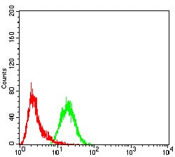 Figure 4:Flow cytometric analysis of A431 cells using CBX3 mouse mAb (green) and negative control (red).