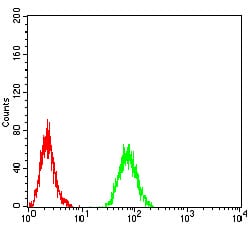 Figure 8:Flow cytometric analysis of Raji cells using RAB11FIP1 mouse mAb (green) and negative control (red).