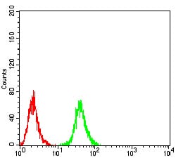 Figure 7:Flow cytometric analysis of Raji cells using RAB11FIP1 mouse mAb (green) and negative control (red).