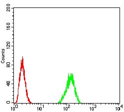 Figure 4:Flow cytometric analysis of Hela cells using TARDBP mouse mAb (green) and negative control (red).