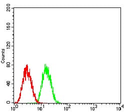 Figure 5:Flow cytometric analysis of HepG2 cells using GLI1 mouse mAb (green) and negative control (red).