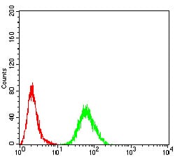 Figure 5:Flow cytometric analysis of MCF-7 cells using RALA mouse mAb (green) and negative control (red).