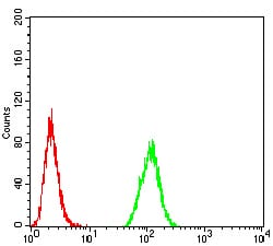 Figure 6:Flow cytometric analysis of Hela cells using MGMT mouse mAb (green) and negative control (red).