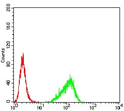 Figure 5:Flow cytometric analysis of Hela cells using RND3 mouse mAb (green) and negative control (red).