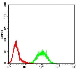 Figure 5:Flow cytometric analysis of K562 cells using Rab13 mouse mAb (green) and negative control (red).