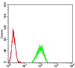 Figure 4:Flow cytometric analysis of A549 cells using PAX6 mouse mAb (green) and negative control (red).