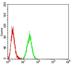 Figure 8:Flow cytometric analysis of HeLa cells using AOF1 mouse mAb (green) and negative control (red).