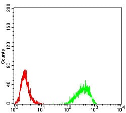 Figure 7:Flow cytometric analysis of K562 cells using DNMT3B mouse mAb (green) and negative control (red).