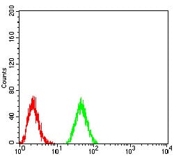 Figure 4:Flow cytometric analysis of K562 cells using DNMT3B mouse mAb (green) and negative control (red).