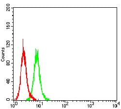 Figure 4:Flow cytometric analysis of HeLa cells using SALL4 mouse mAb (green) and negative control (red).