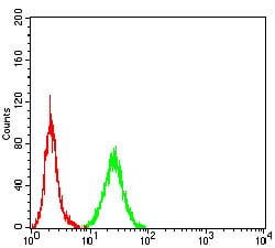 Figure 5:Flow cytometric analysis of HeLa cells using NOS1 mouse mAb (green) and negative control (red).