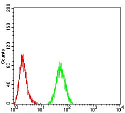 Figure 6:Flow cytometric analysis of HeLa cells using PMS2 mouse mAb (green) and negative control (red).