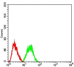 Figure 6:Flow cytometric analysis of HeLa cells using CBX2 mouse mAb (green) and negative control (red).