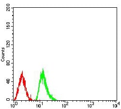 Figure 4:Flow cytometric analysis of Raji cells using HIST2H4A(20Me) mouse mAb (green) and negative control (red).